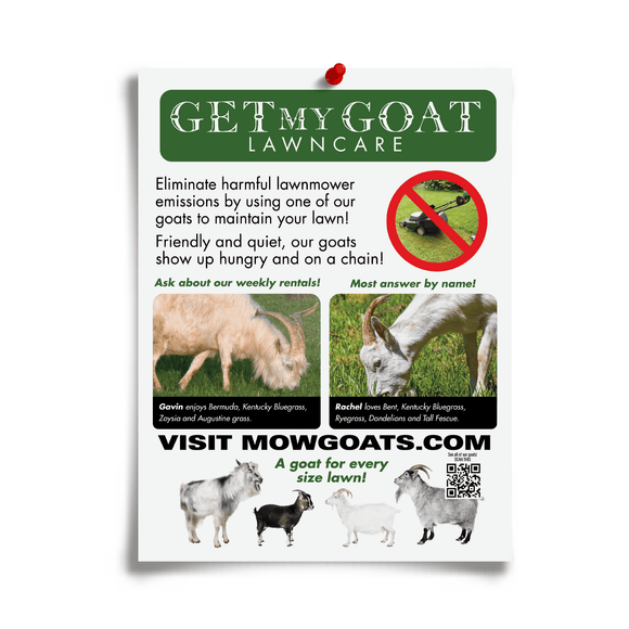 joke flyer for Get My Goat Lawncare, goat lawn mowing services